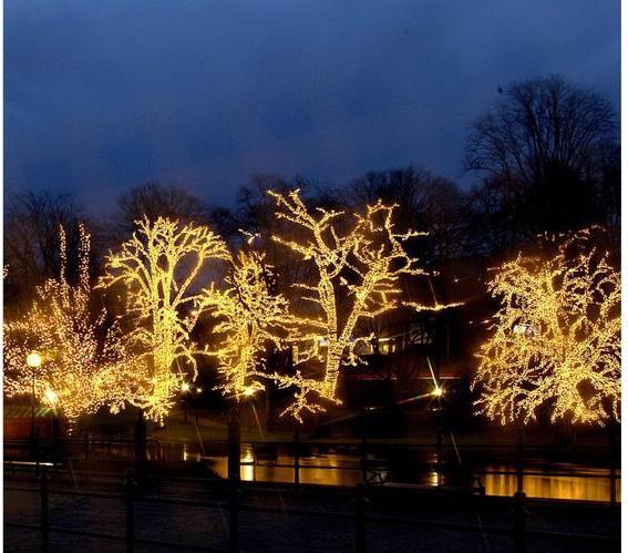 Immagine prodotto Star Trading Icicle (2 m)