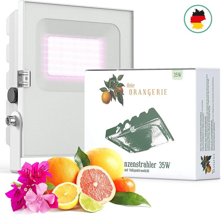 Image du produit Meine Orangerie 35.0 Watt (LED, 230 V)