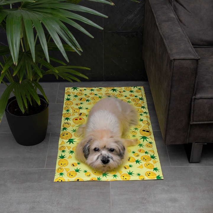 Immagine prodotto Intirilife Tappeto refrigerante per cani e gatti (Cane, Gatto)