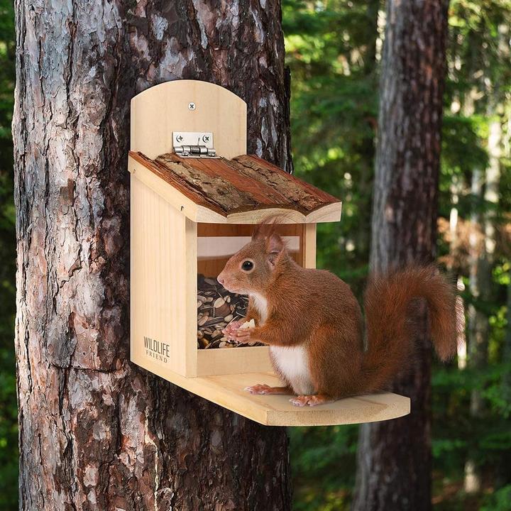 Produktbild Wildlife Friend Eichhörnchen Futterhaus