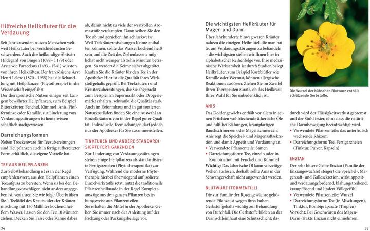 Produktbild Magen und Darm natürlich behandeln (Deutsch, Nicole Schaenzler, 2016)