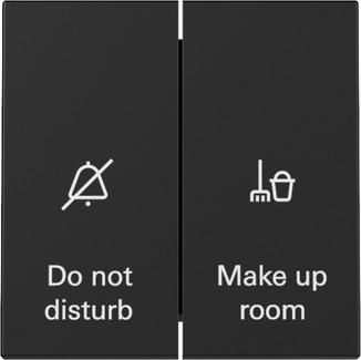 Actual product image Gira Rocker switch display Hotel