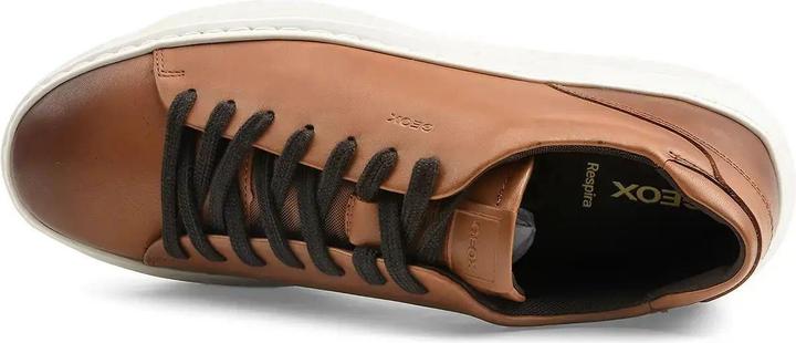 Image du produit Geox Deiven (43)