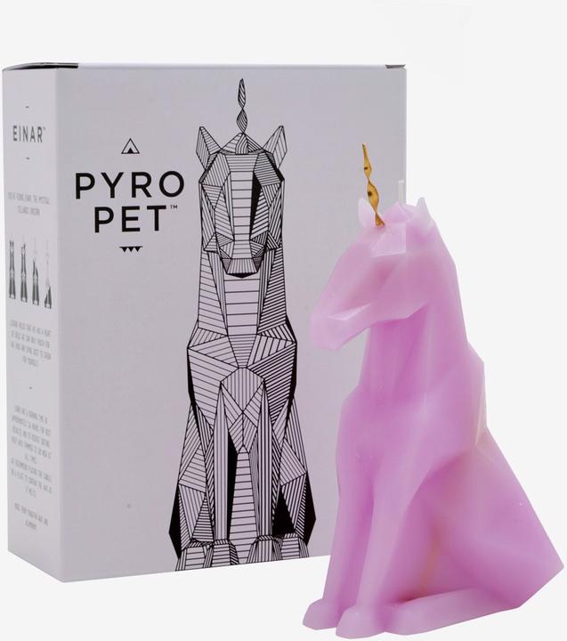 Produktbild 54Celsius PyroPet Einar (1 Stk.)