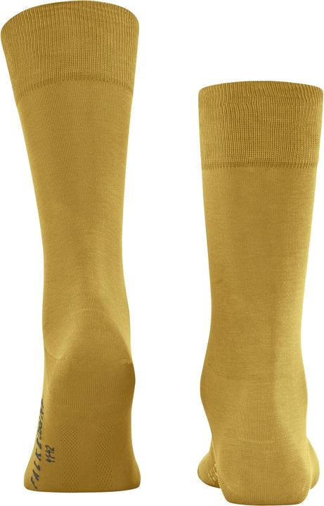 Produktbild Falke Cool 24/7 Herren Socken (39 - 40)