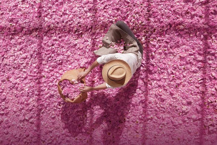 Produktbild Dior Miss Blooming Bouquet (Eau de Toilette, 50 ml)