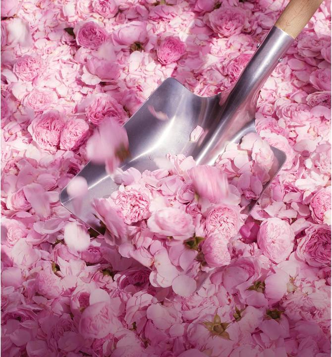 Produktbild Dior Miss Blooming Bouquet (Eau de Toilette, 50 ml)