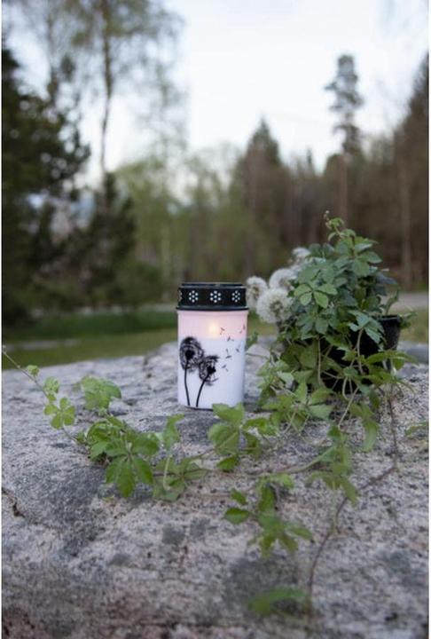 Produktbild Star Trading LED Grablicht Dandelion (1x)