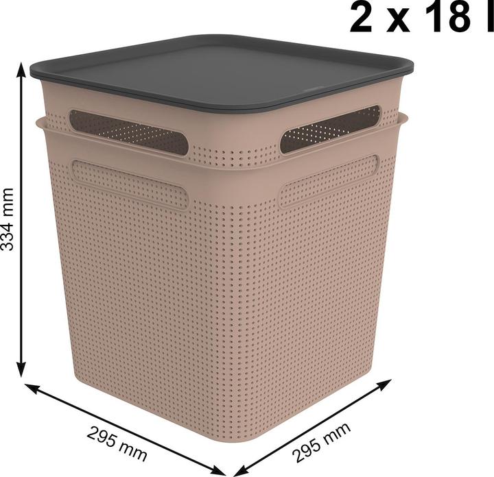 Actual product image Rotho 2er Set Boxen mit Deckel 18 l BRISEN (18 l)