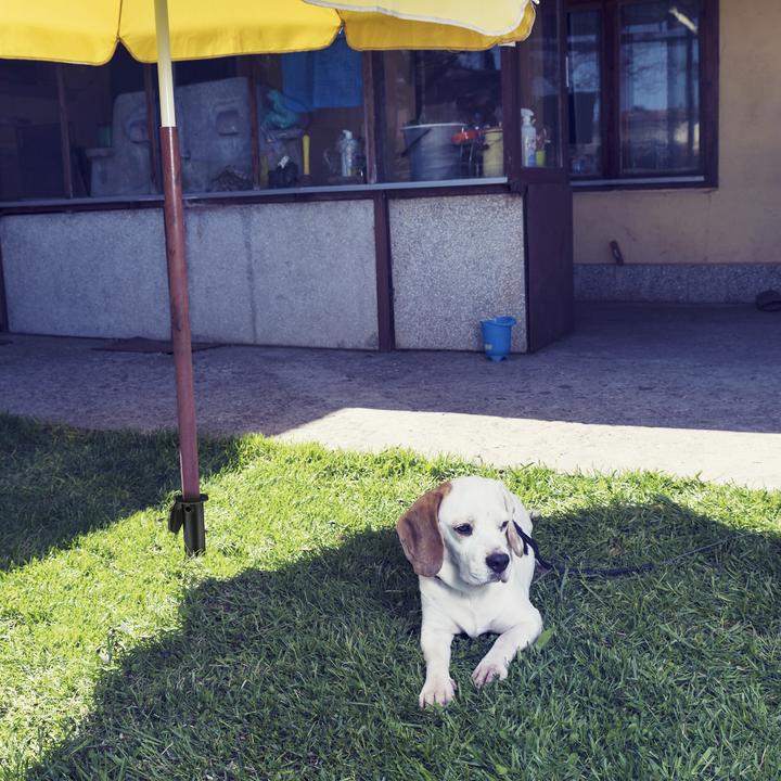 Actual product image Relaxdays Ground sleeve