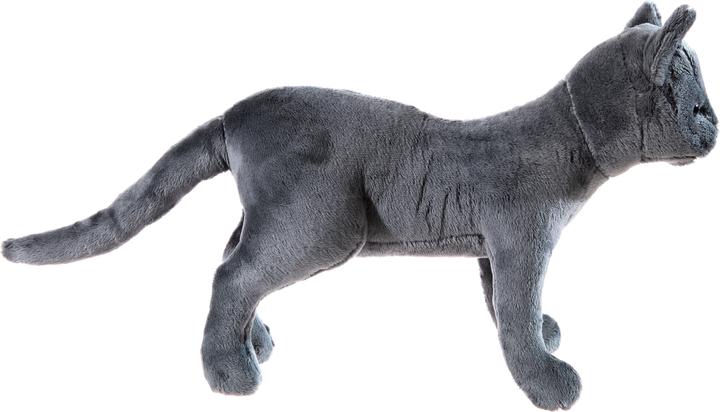 Produktbild Heunec Die Schule der magischen Tiere - Kater Karajan (35 cm)