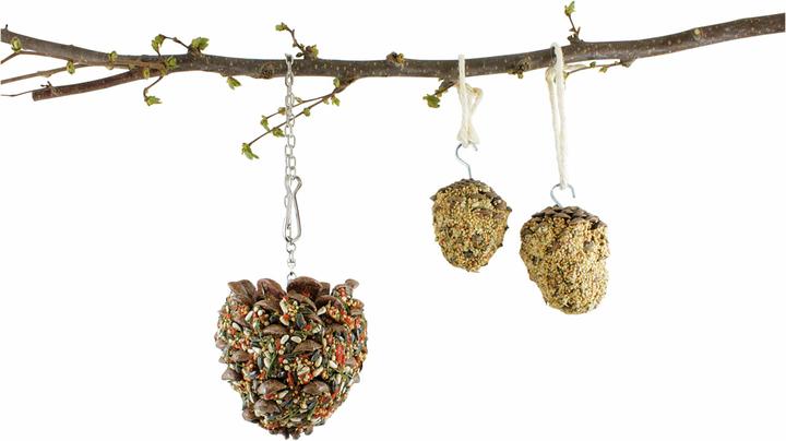 Image du produit JR Farm Cônes gourmands pour grandes perruches & perroquets, 195 g (1 x, 0.20 kg)