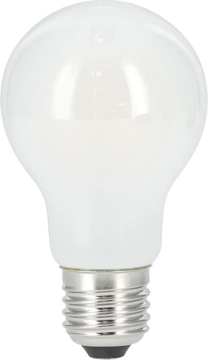 Xavax LED-Filament, E27, 806lm ersetzt 60W, Glühlampe, matt, Warmweiss (E27, 6.50 W, 806 lm, 1 x, E)