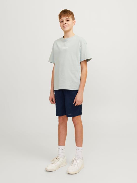 Actual product image Jack & Jones Jpstjaiden Jjpalma Seersucker Shor Jnr (140)