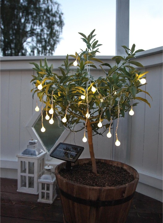 Produktbild Star Trading Globini (0.02 m)