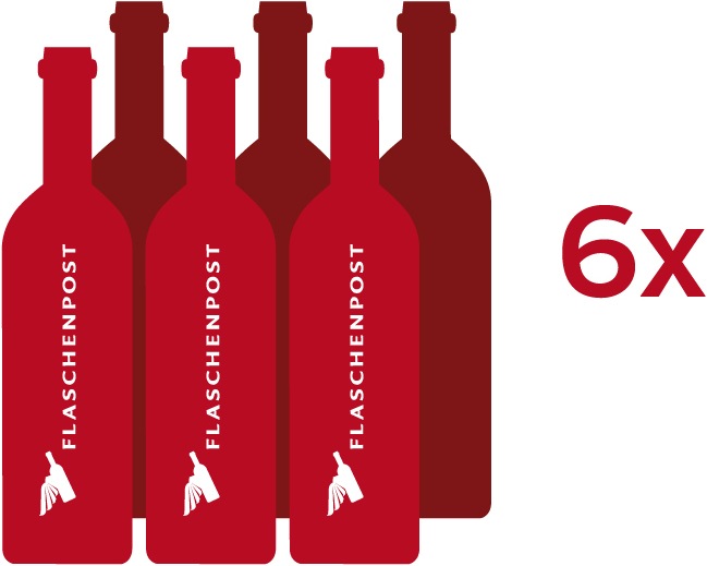 Produktbild Viñas Don Martin Don Martin Mendoza City Cuvée Spéciale (6 x 75 cl, 2014)