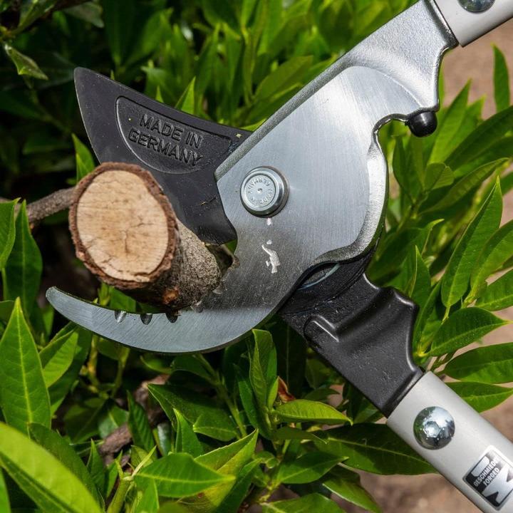 Actual product image BERGER Branch shears bypass 19 4280