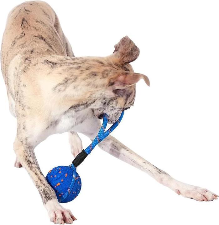 Produktbild Cheerble Wicked Ball Air Rope (Ballspielzeug Katze)