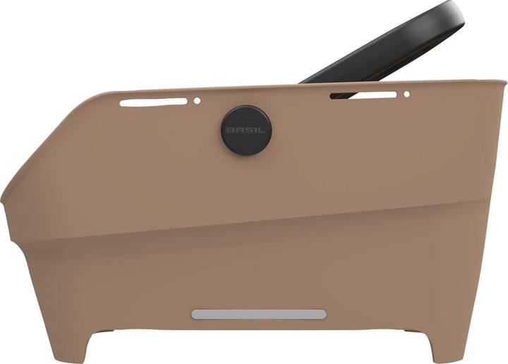 Braun