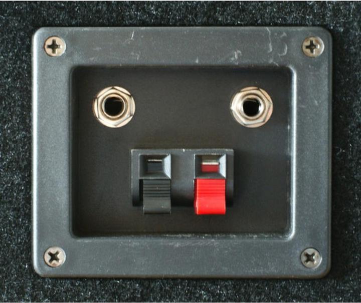 Actual product image Vonyx SL10 (Passive, 1x 250 W)