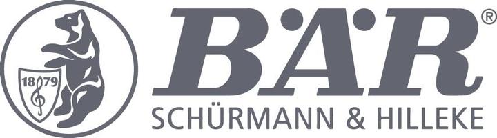 Produktbild Bär Sparrennagel verzinkt 6,0x300 (100 Stück, 300 mm)