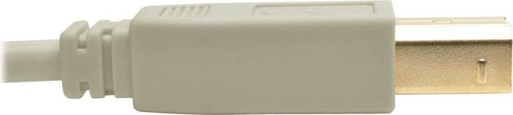 Image du produit Eaton TRIPPLITE USB 2.0 A/B Cable M/M Beige 6ft. 1,83m (1.83 m, USB 1.1)