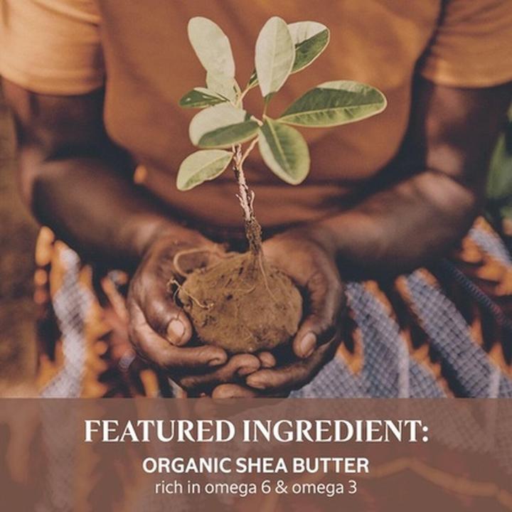 Image du produit L'Occitane Beurre de karité (Lotion pour le corps, 300 ml)