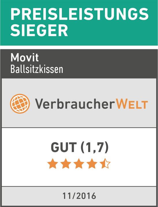Produktbild Movit Ballsitzkissen