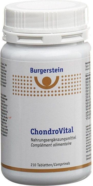 Actual product image Burgerstein ChondroVital (1 Piece, Pills, 147 g)