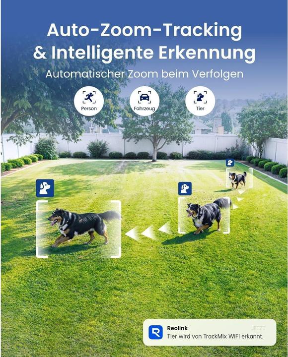 Immagine prodotto Reolink B770 Outdoor PTZ-Kamera inkl. SP 4 MP, 38-96° (3840 x 2160 pixel)