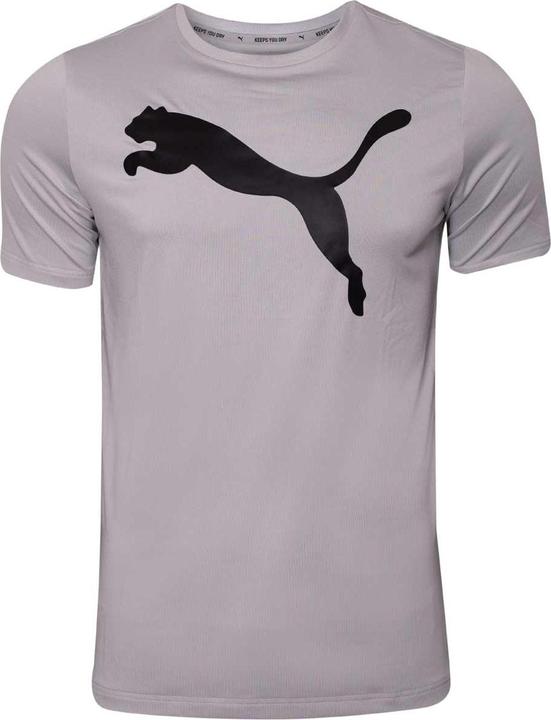Actual product image Puma Active Big Logo Tee Grey Violet 586724 09 m (M)