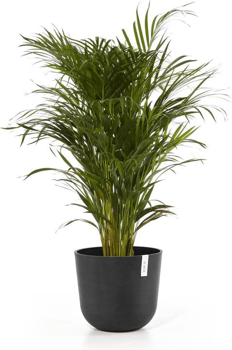 Produktbild Ecopots Oslo (35 cm)