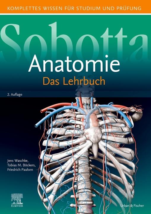 Actual product image Sobotta Lehrbuch Anatomie (German, Tobias M. Boeckers, Jens Waschke, Friedrich Paulsen, 2019)