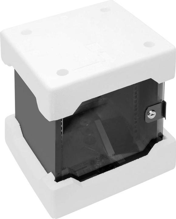 Image du produit Digitus Boîtier mural 254 mm (6 HE, Rack 10 pouces)
