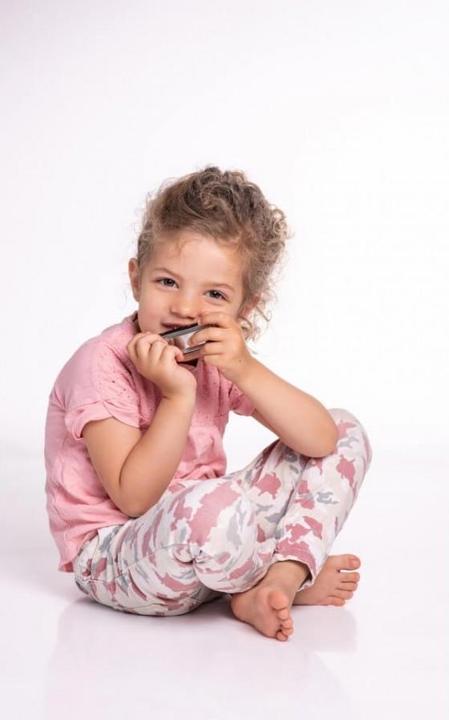 Actual product image Boogie Bee Harmonica (German, French, Dutch, Italian)