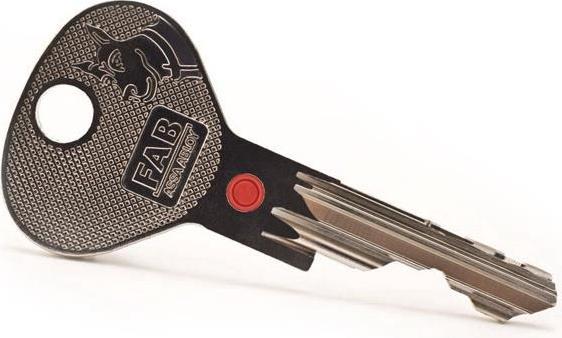 Actual product image Assa Abloy BLANK KEY 200RS RRS1 FA207GG074.1000