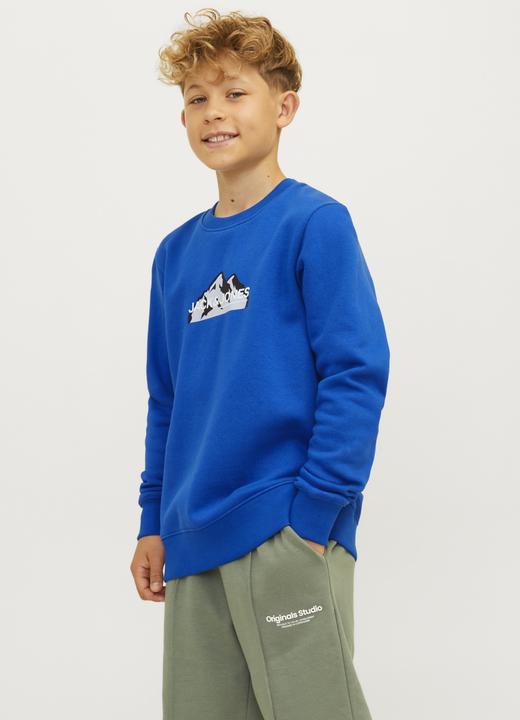 Produktbild Jack & Jones Jcomountain Logo Sweat Crew Neck Sn Mni (110)