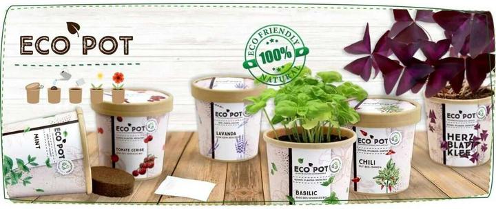 Image du produit Feel Green EcoPot Glücksklee