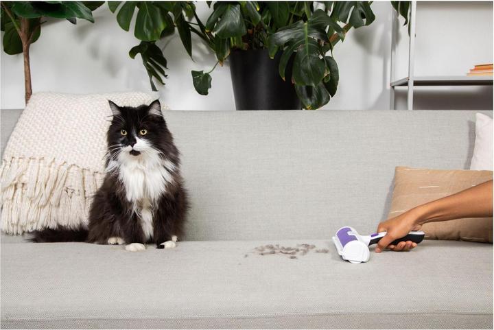 Actual product image Black & Decker Pet hair remover