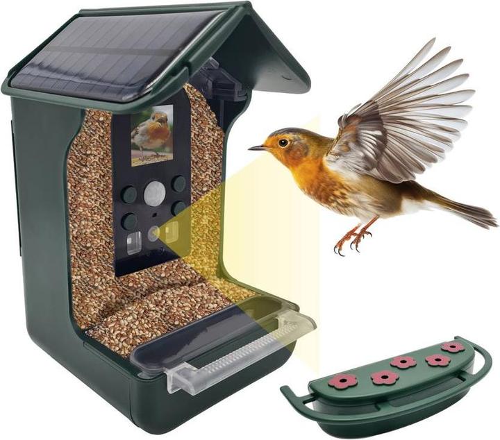 Berger & Schröter ES50BS Futterautomat Grün, Grau 1 St.