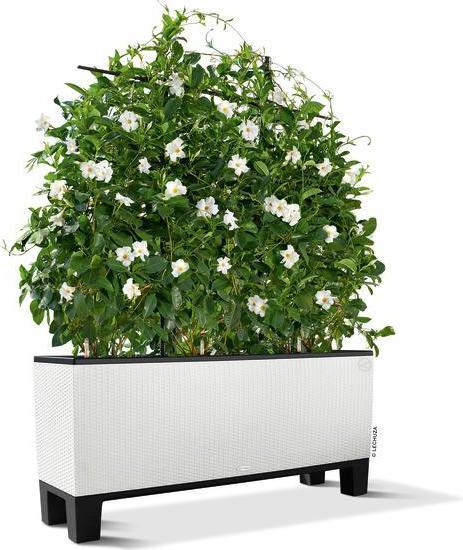 Actual product image Lechuza Trio Cottage (42 cm)