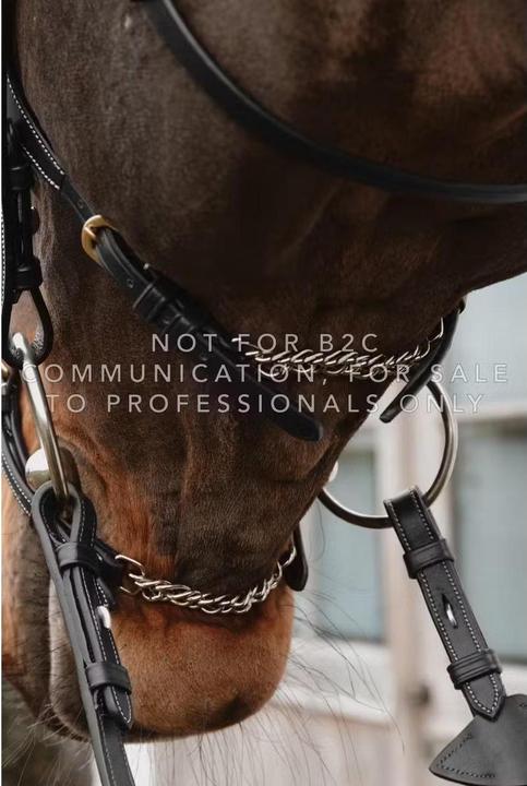 Immagine prodotto Dy'on Museruola per cavallo messicana con catene