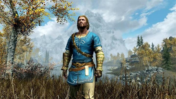 Image du produit Bethesda The Elder Scrolls V : Skyrim (Switch, Multilingue)
