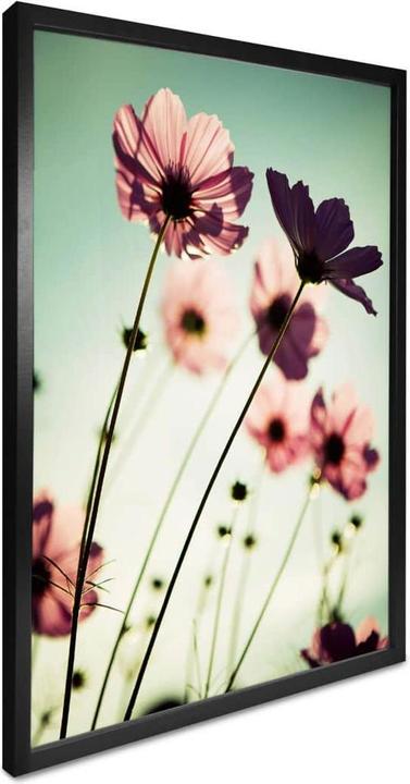 Image du produit Trenddeko Cosmos roses (60 x 80 cm)