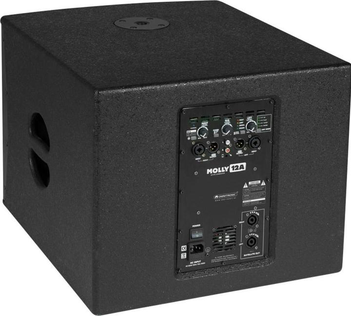 Immagine prodotto Omnitronic Molly-12A Subwoofer attivo PA 30.48 cm 30.50cm (12") 700 W 1 pz. (Attivo, 1x 700 W)