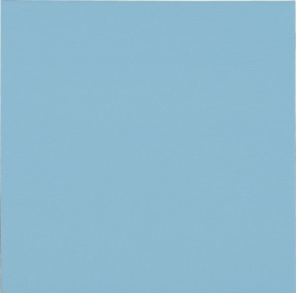 Actual product image Thermal Grizzly TG Minus Pad Pro - 100x100x2,0 mm (2 mm)