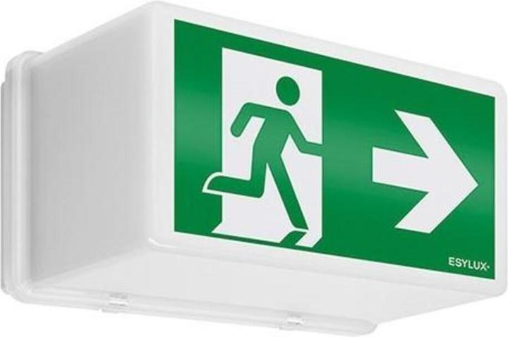 Actual product image Esylux Emergency light