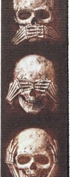 Actual product image Planet Waves Guitar Strap Skulls with Plectrum