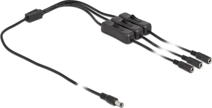 Image du produit Delock Câble DC 5,5 x 2,1 mm mâle vers 3 x DC femelle avec interrupteur 1 m (1 m)