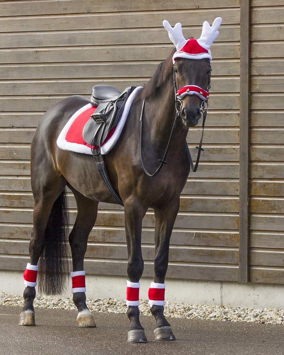 Image du produit Qhp Rentierhaube im Weihnachts-Design